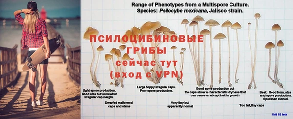 прущая мука Нефтекумск