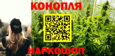 мдпв Гай