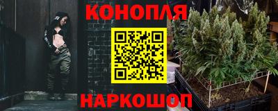 сатива Апшеронск