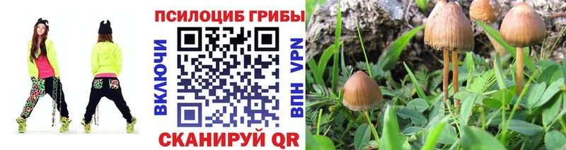 сайты даркнета телеграм купить наркоту Миасс Псилоцибиновые грибы GOLDEN TEACHER ОМГ ОМГ ONION