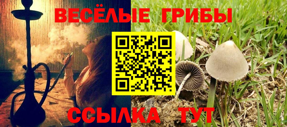 Галлюциногенные грибы MAGIC MUSHROOMS  где можно купить   Псилоцибиновые грибы прущие грибы  Миасс 
